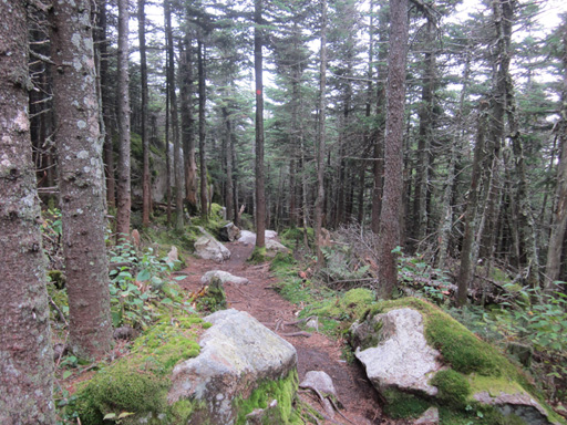 Paysage naturel dans les sentiers du Domaine Gagnon