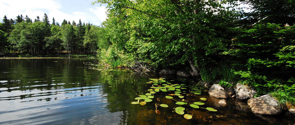 Vue sur le lac principal du Domaine Gagnon, en face d'un des chalets à louer dans la région de Mégantic